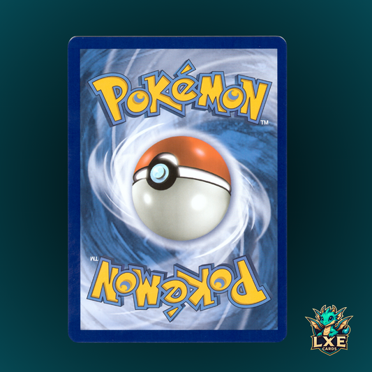 Martial Arts Dojo 268/236