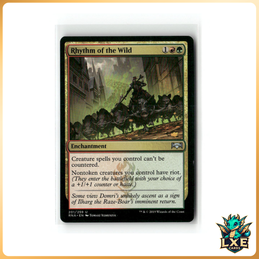 Rhythm of the Wild #2