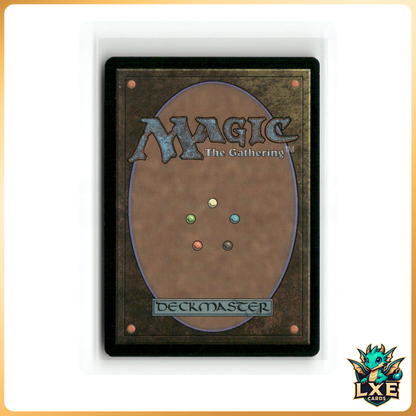 Rhythm of the Wild #2