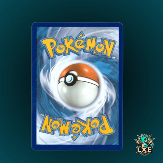 Professors Research 024/025