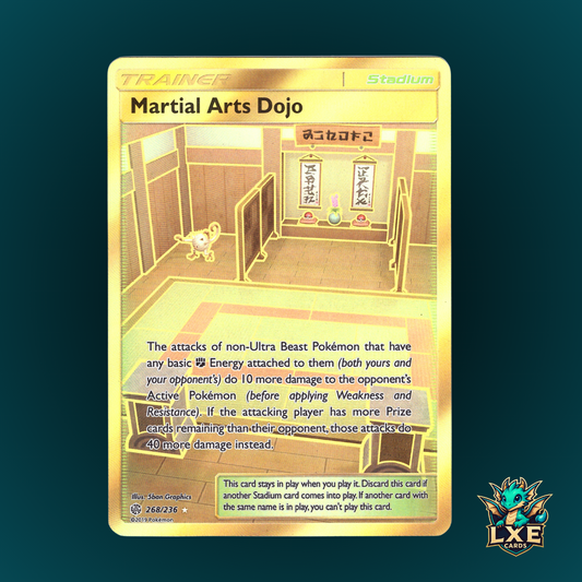 Martial Arts Dojo 268/236