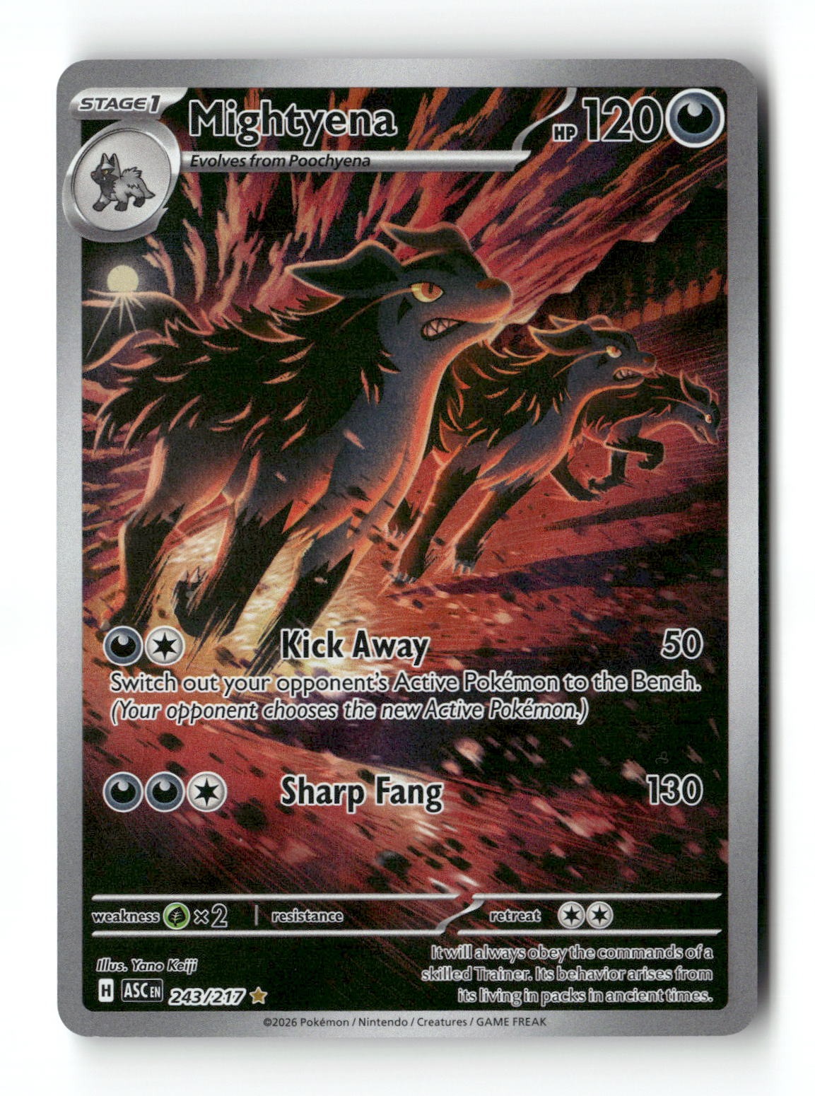 Pokemon Mightyena 243/217 Ascended Heroes Near Mint