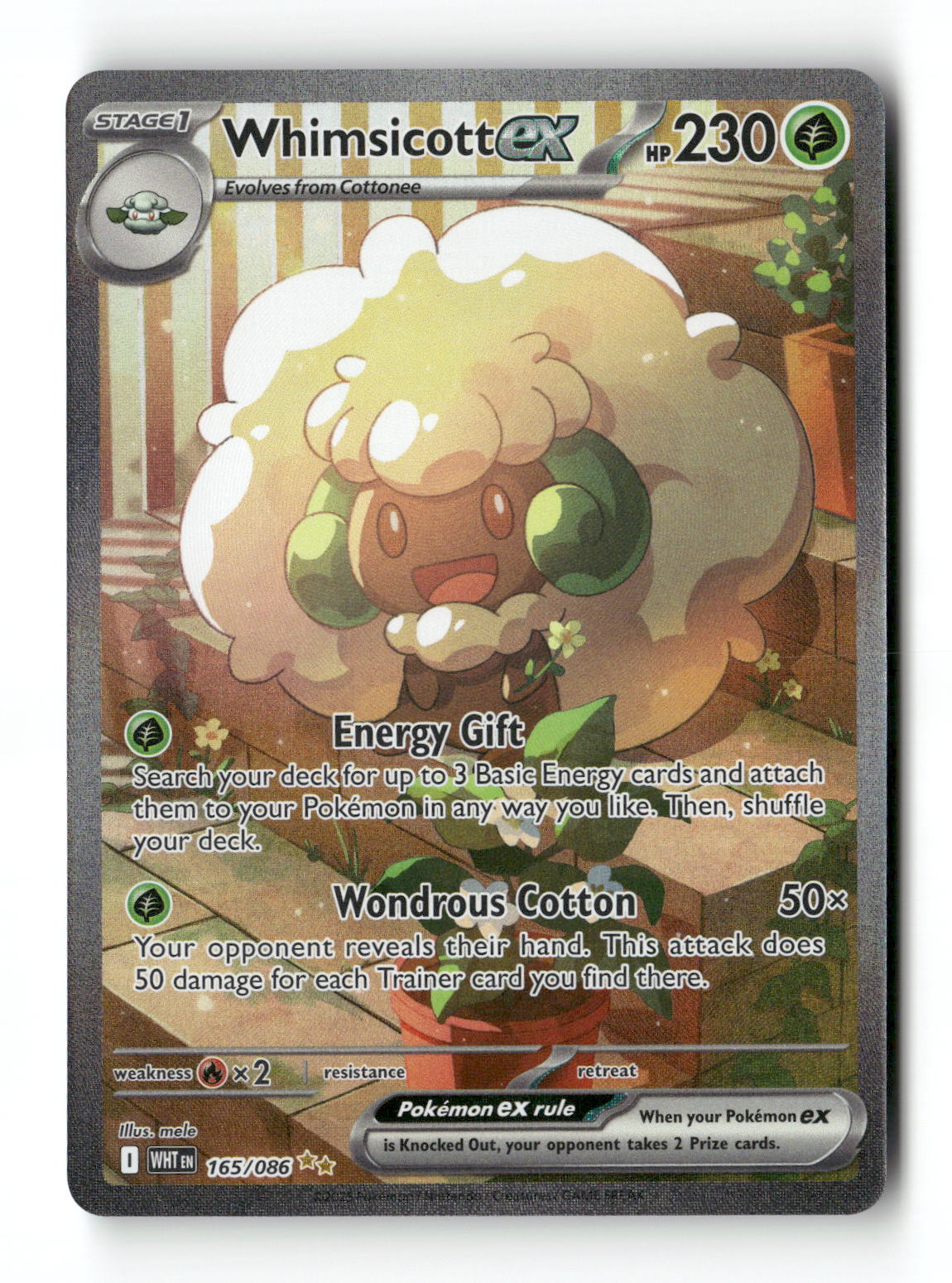 Whimsicott ex 165 - White Flare - Near Mint